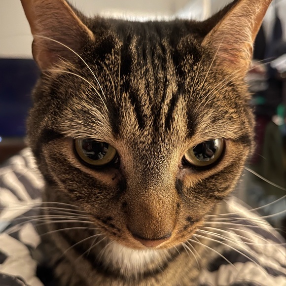 Meet your Posher, Jess - Picture 4 of 16